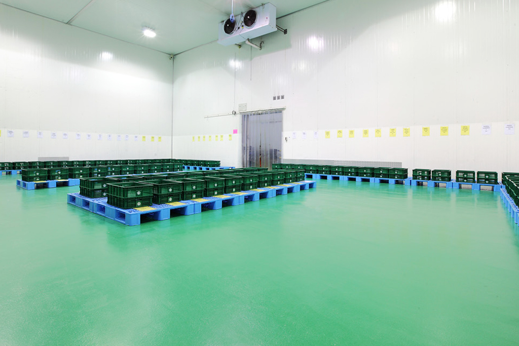 Dịch vụ Thi công sơn sàn PU tại Đồng Nai